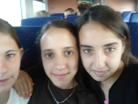 dans le train